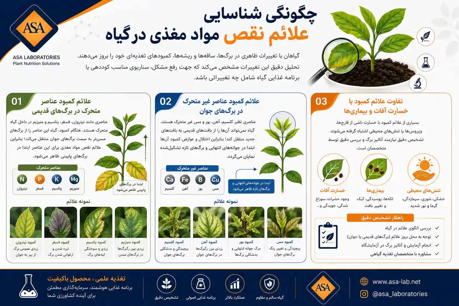 چگونگی شناسایی علائم نقص مواد مغذی در گیاه