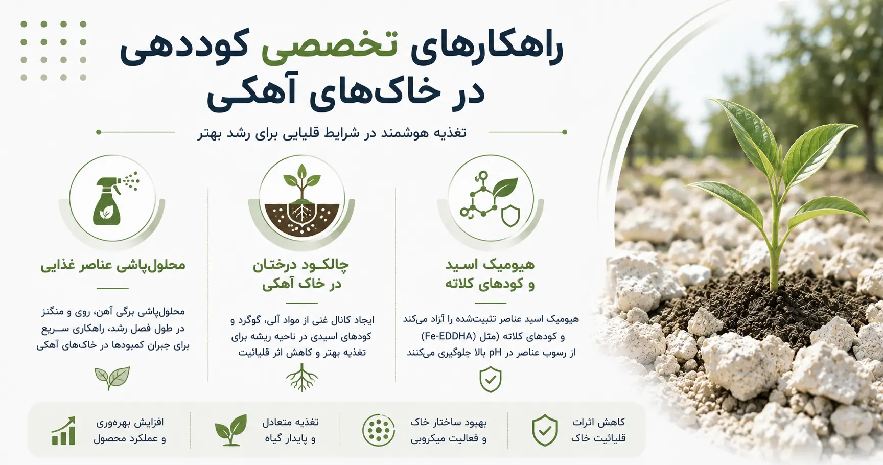 راهکارهای تخصصی کوددهی در خاک های آهکی